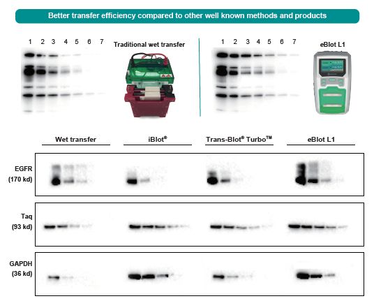 eBlot comaprison