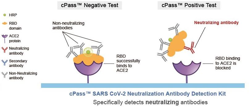 cPass02