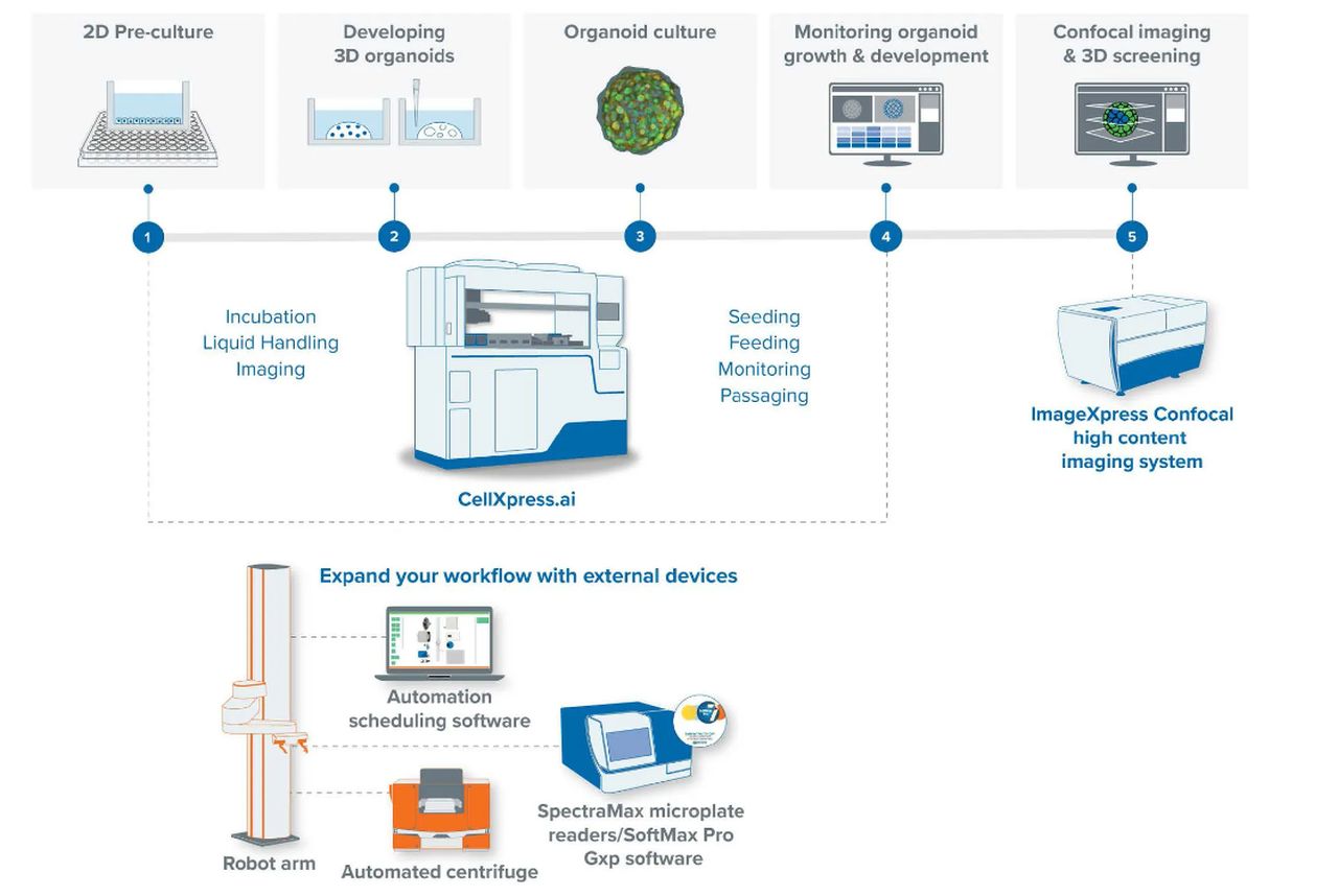 mol dev workflow ok