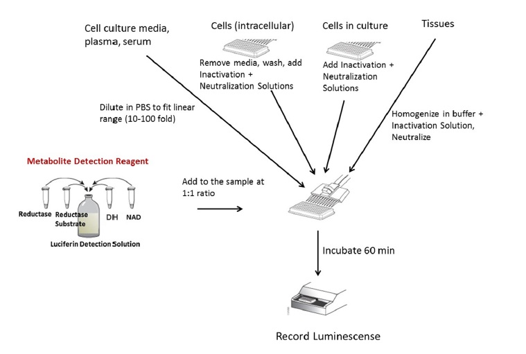 metabolite sample preparation