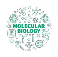 bio-bg