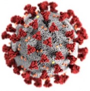 vaccine-bg