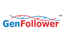 GenFollower