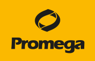 promega